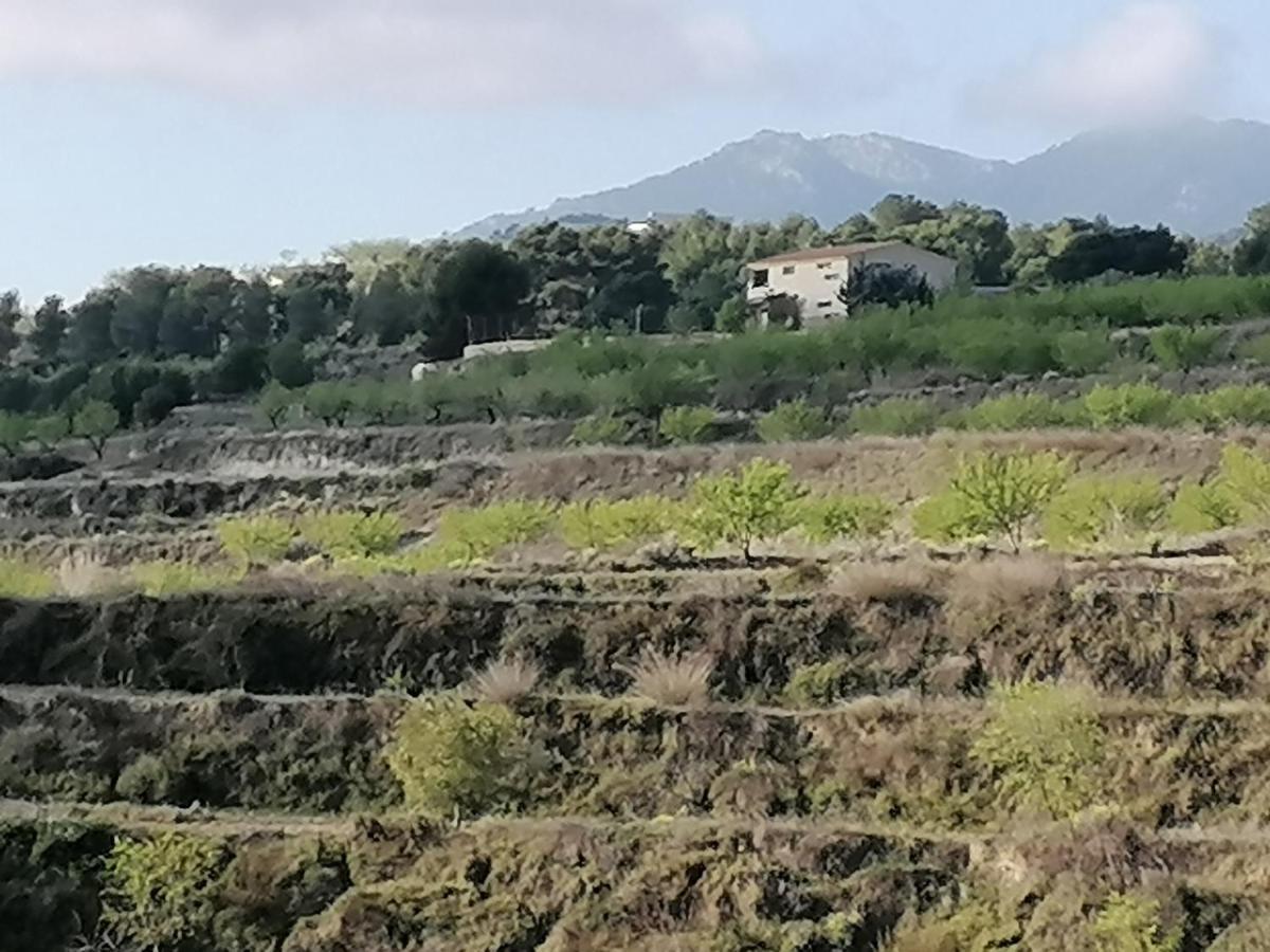 Habitaciones En Finca Olivo Y Almendro Ucenda Экстерьер фото
